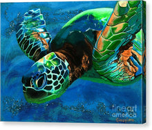 Load image into Gallery viewer, Searching for Light - Canvas Print