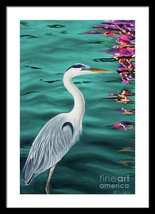 Blue Heron  - Framed Print