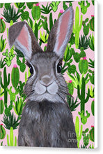 Load image into Gallery viewer, Cacti Cotton Tail - Canvas Print