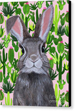 Load image into Gallery viewer, Cacti Cotton Tail - Canvas Print
