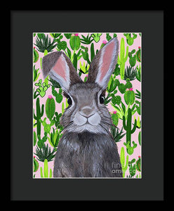Cacti Cotton Tail  - Framed Print