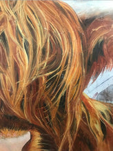 Load image into Gallery viewer, Original Highland Cow &quot;Harry&quot; oil painting by ashley lane
