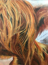 Load image into Gallery viewer, Original Highland Cow "Harry" oil painting by ashley lane