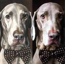 Load image into Gallery viewer, Custom Pet Portrait