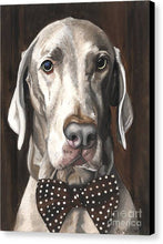 Load image into Gallery viewer, Klauss - Canvas Print