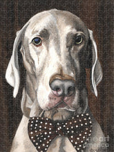 Load image into Gallery viewer, Klauss - Puzzle