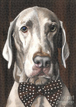 Load image into Gallery viewer, Klauss - Puzzle