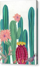 Load image into Gallery viewer, Quail Parade - Canvas Print