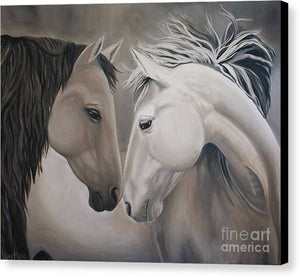 Wild Horses - Canvas Print