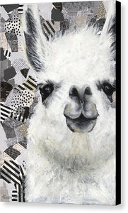 Mr. Llama - Canvas Print