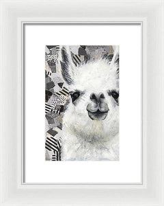 Mr. Llama - Framed Print