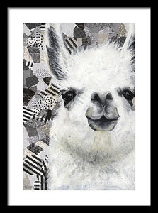 Mr. Llama - Framed Print