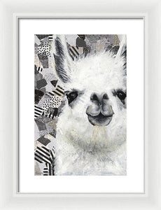 Mr. Llama - Framed Print