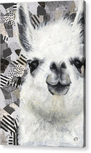 Load image into Gallery viewer, Mr. Llama - Acrylic Print

