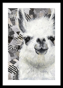 Mr. Llama - Framed Print