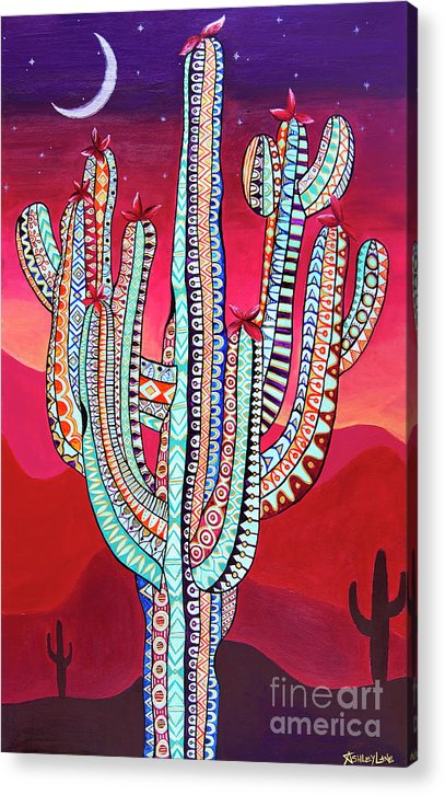 Saguaro Sunset - Acrylic Print