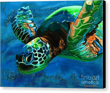 Load image into Gallery viewer, Searching for Light - Canvas Print
