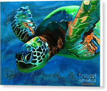 Load image into Gallery viewer, Searching for Light - Canvas Print
