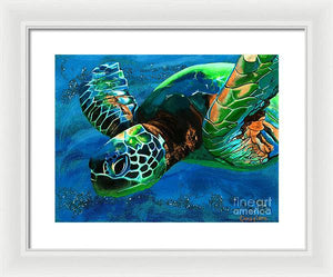 Searching for Light - Framed Print