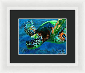 Searching for Light - Framed Print