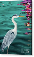 Load image into Gallery viewer, Blue Heron  - Acrylic Print
