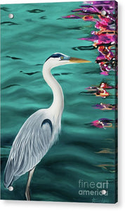 Blue Heron  - Acrylic Print