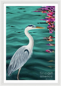 Blue Heron  - Framed Print