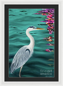 Blue Heron  - Framed Print