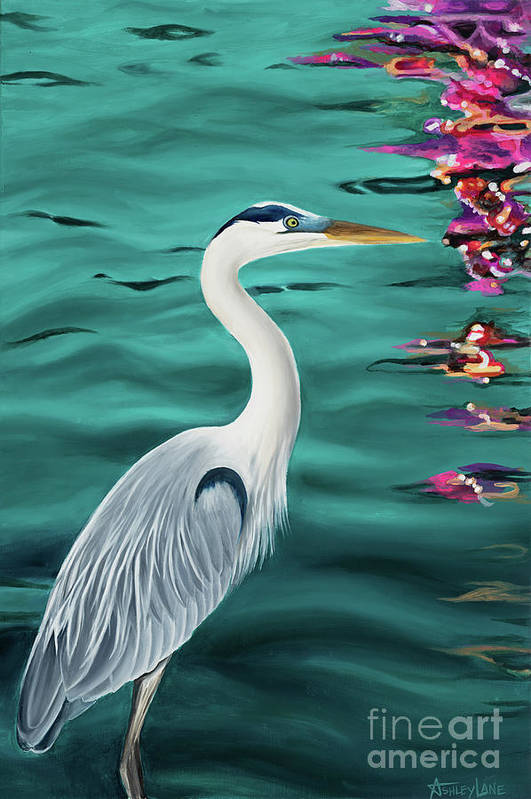 Blue Heron  - Art Print