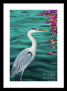 Blue Heron  - Framed Print