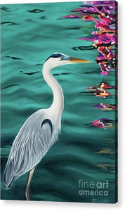Blue Heron  - Acrylic Print