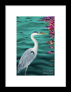 Blue Heron  - Framed Print