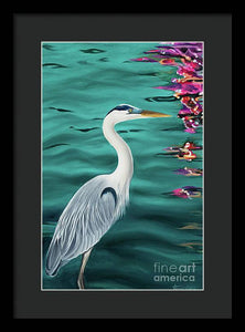 Blue Heron  - Framed Print