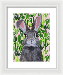 Cacti Cotton Tail  - Framed Print