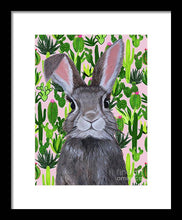 Load image into Gallery viewer, Cacti Cotton Tail  - Framed Print
