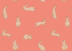 Funny Bunnies - Puzzle
