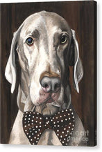 Load image into Gallery viewer, Klauss - Canvas Print
