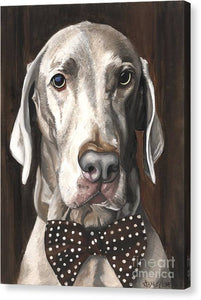Klauss - Canvas Print