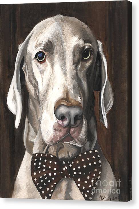 Klauss - Canvas Print
