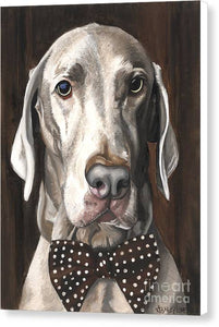 Klauss - Canvas Print
