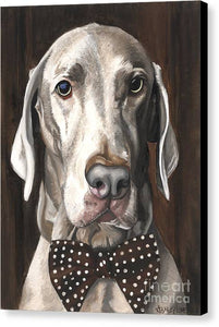 Klauss - Canvas Print