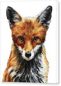 Mrs. Fox Oil Painting with White Background - Canvas Print