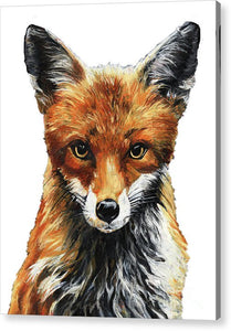 Mrs. Fox Oil Painting with White Background - Acrylic Print