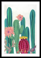 Load image into Gallery viewer, Quail Parade - Framed Print
