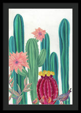 Load image into Gallery viewer, Quail Parade - Framed Print
