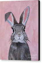 Load image into Gallery viewer, Sweetie - Canvas Print

