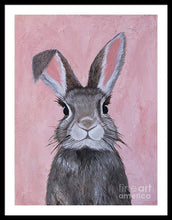 Load image into Gallery viewer, Sweetie - Framed Print
