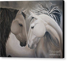 Load image into Gallery viewer, Wild Horses - Canvas Print
