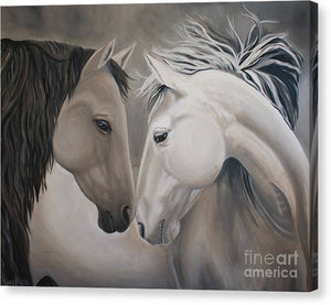 Wild Horses - Canvas Print
