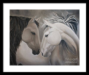 Wild Horses - Framed Print